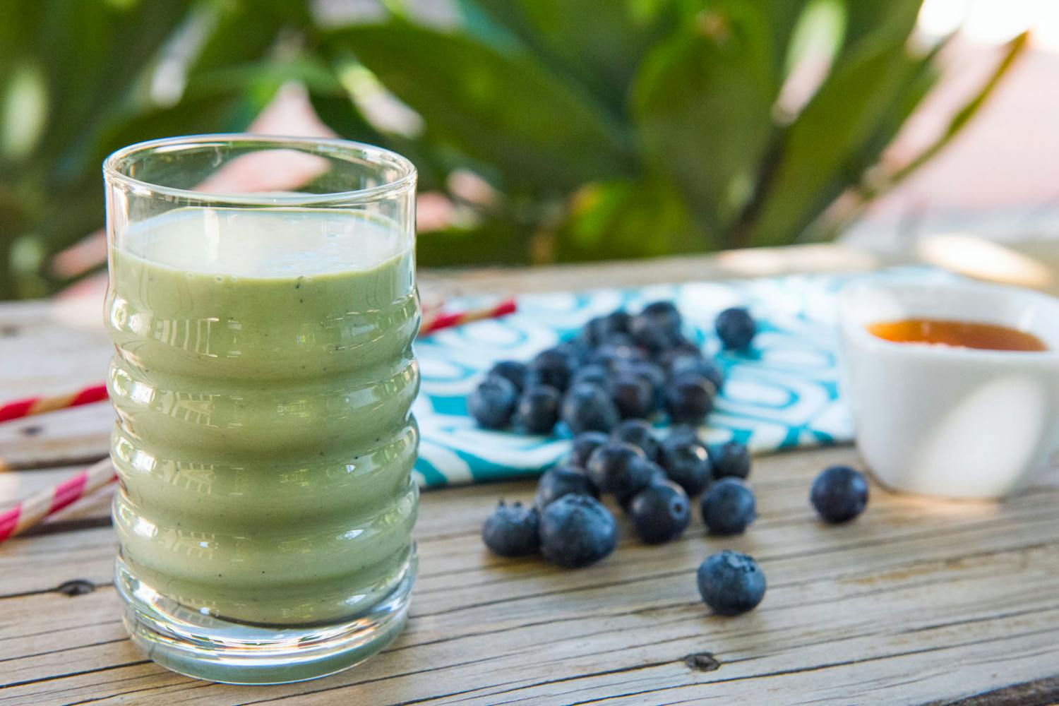 Blueberry Honey Smoothie