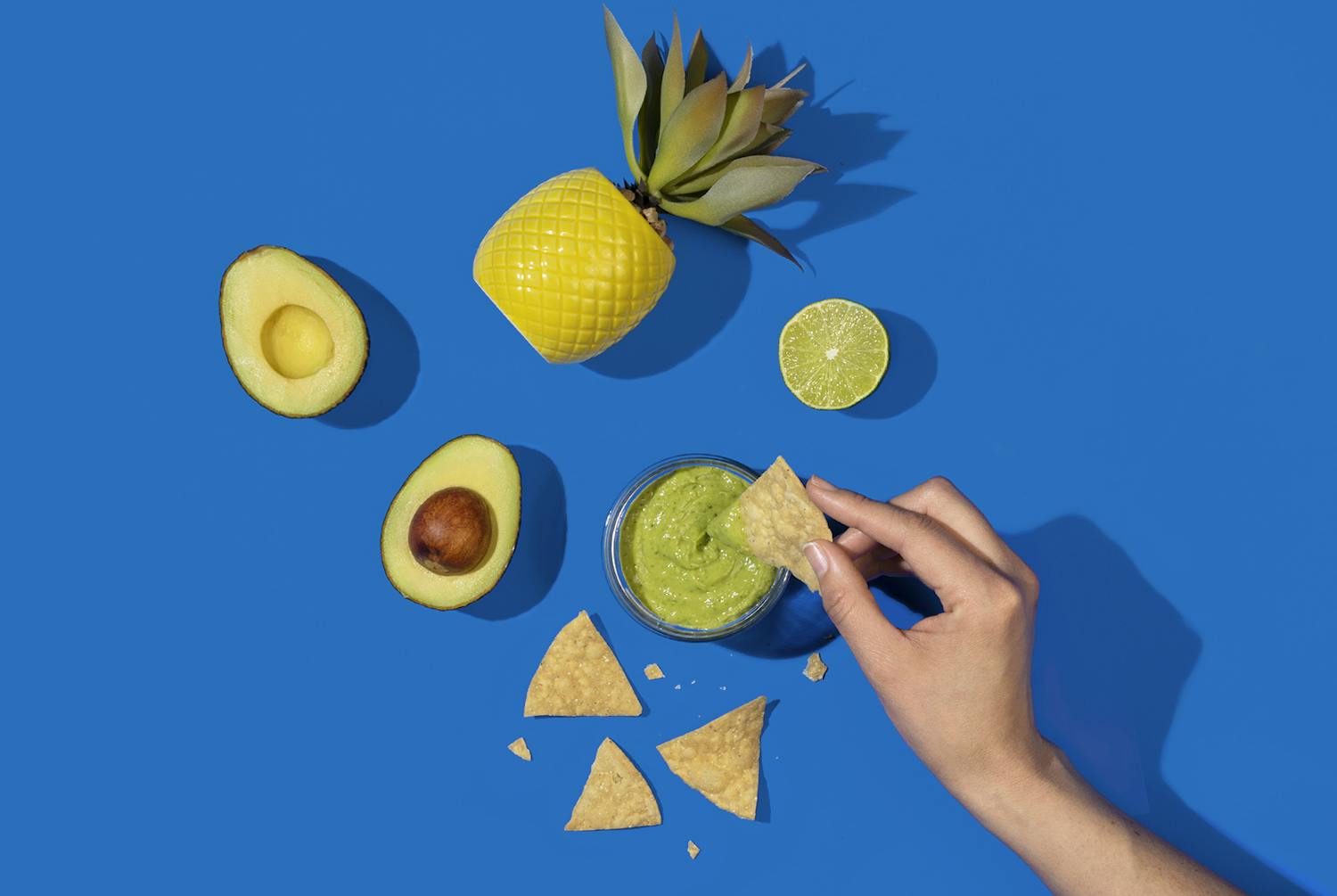 Creamy Avocado Cilantro Spread
