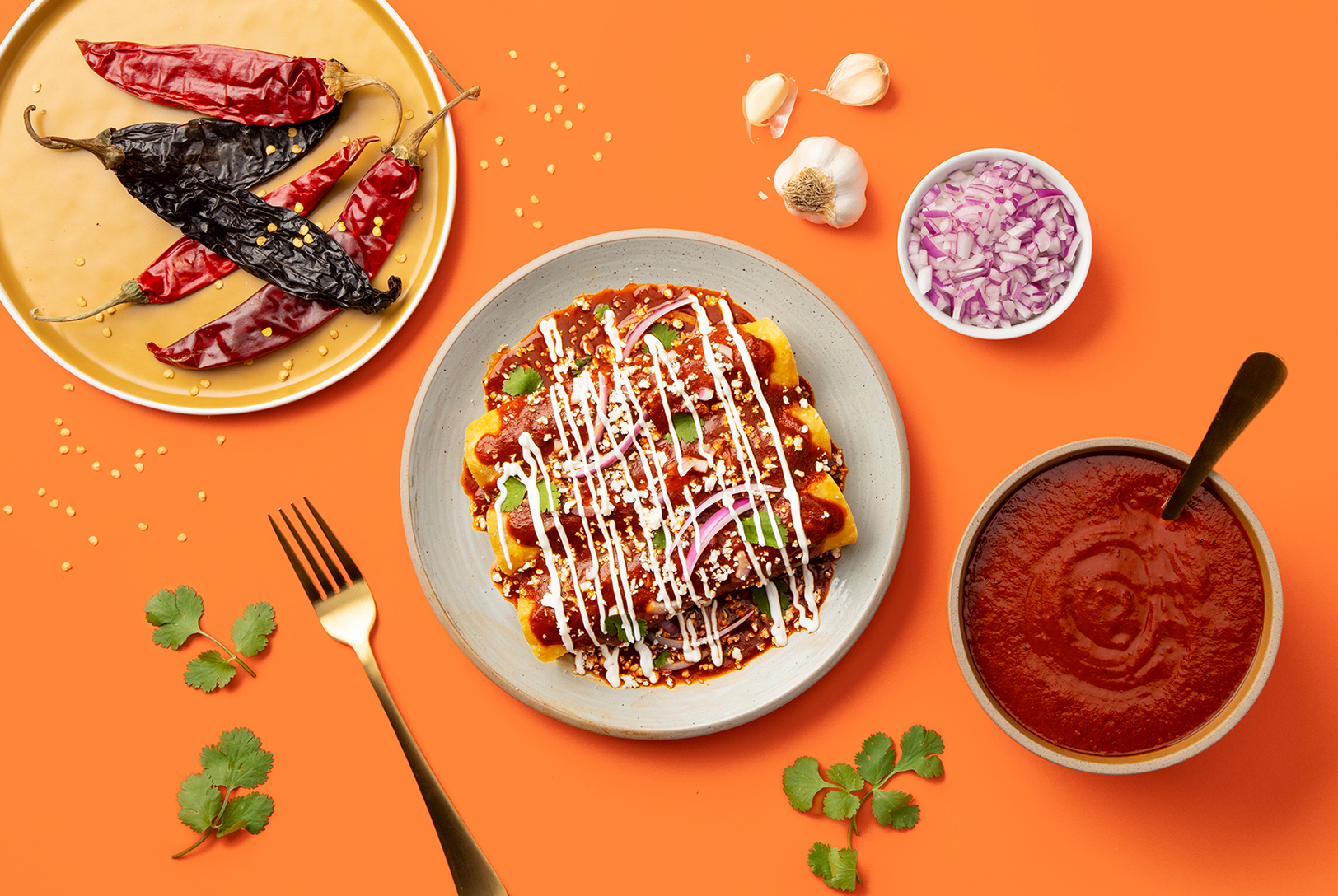 enchiladas covered with enchilada sauce and crema with jalapenos, onions, and more sauce on the side