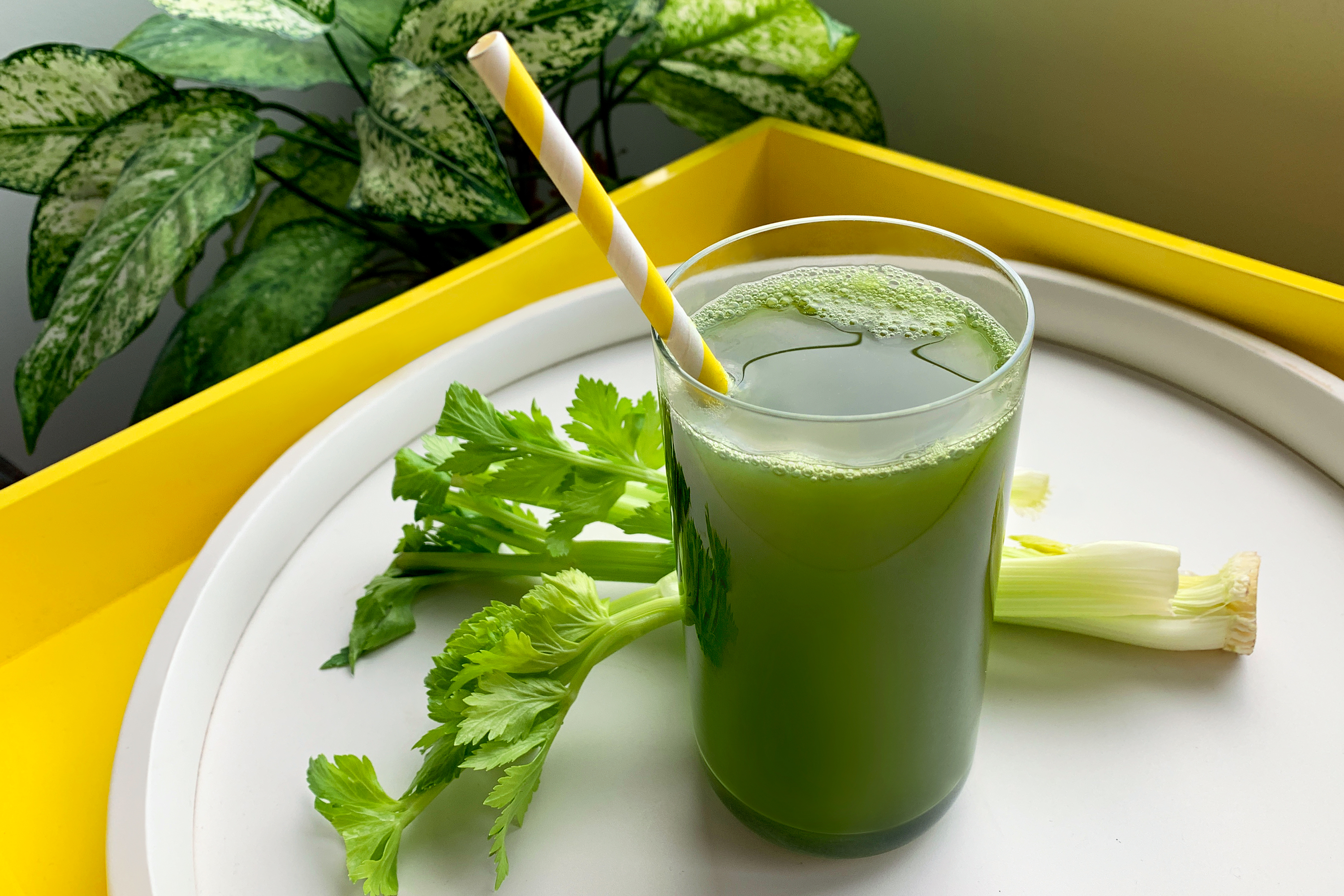 Can You Put Celery In A Nutribullet? 
